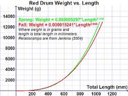 Red Drum Wikipedia