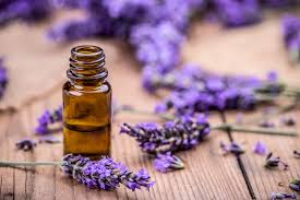 That means it has a naturally absorbent structure that one reviewer complained of the overwhelming (i think he used the word pungent) smell of the lavender. Is Lavender Safe For Cats Great Pet Care