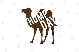 Download camel hump stock vectors. Camel Hump Day Svg File 129565 Svgs Design Bundles