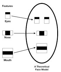 face detection using opencv with haar cascade classifiers