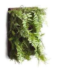 24in Hanging Fern Wall Decor Decoracion De Pared Decoracion De Unas Pared