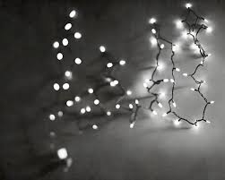 White light · black and white aesthetic, all white, pure white, cream white, white art. Holiday Fariy Lights Photograph Gray Black White By Raceytay 30 00