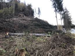 In den beliebtesten urlaubsländern aber sprechen die zahlen der neuinfektionen und genesenen nicht überall für eine. Brenner Basistunnel Sillschlucht Wurde Gerodet Innsbruck