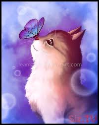 Drag your finger along the screen to draw a line. If You Like My Work You Can Follow Me On Facebookcommission Info Link Because I Haven 39 T Draw A Cat For A Long Time Othe Kitten Drawing Cat Art Cat Drawing