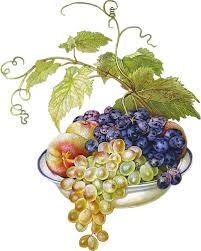 Tubes Suite Fruits Et Legumes Corbeille De Fruits Dessin Fruits
