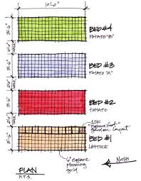 The Kk Report My Biointensive Garden Plan Companion Gardening Companion Planting Layout Companion Planting