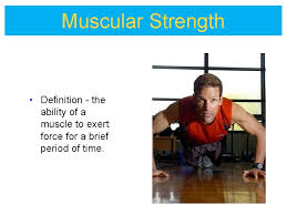 Aerobic capacity, body structure, body composition, balance, muscular flexibility . Components Of Health Related Exercise Physical Fitness 1
