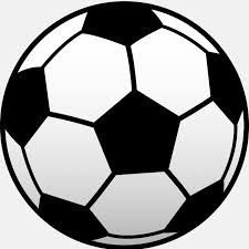 Snake River Boys Soccer