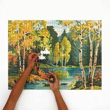 The moon puzzle is the first of their collection, and they are excited to add more titles that will challenge and delight puzzle solvers everywhere. Four Point Puzzles