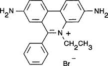 Today we're reacting to bruce lee vs clint eastwood. Ethidium Bromide An Overview Sciencedirect Topics