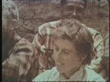 Historic Films Stock Footage Archive: Search