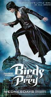 Birds of prey movie is part of movies collection and its available for desktop laptop pc and mobile screen. Birds Of Prey Tv Series 2002 2003 Imdb