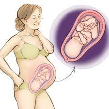 32 Weeks Pregnant Nct