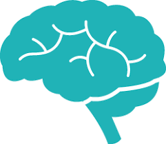 Brain Icon Png 250 217