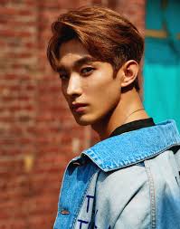 Dk (도겸) · full name: Seventeen An Ode Concept Photos Hd Hr 57 Photos K Pop Database Dbkpop Com