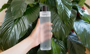 It is chemically pure water. 5 Different Ways To Use Your Beauty Water