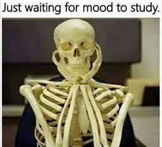 Check spelling or type a new query. Waiting Skeleton Computer Meme