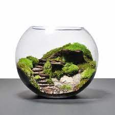 uber 40 vorschlage wie sie ein terrarium selber bauen archzine net terraria minyatur bahceler guzel bahceler