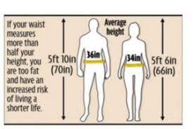 Why Waist Circumference And Waist To Height Ratio Is So