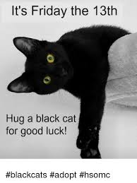 Maybe you would like to learn more about one of these? It S Friday The 13th Hug A Black Cat For Good Luck Blackcats Adopt Hsomc Friday Meme On Esmemes Com