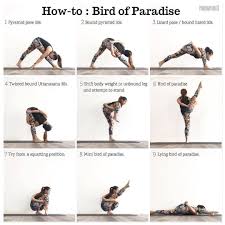 Yoga Alignment Tips Tutorials On Instagram Svargadvijasana Paradisetwiceborn Pose Or Birdofparadisepos Vinyasa Yoga Bird Of Paradise Yoga Yoga Asanas