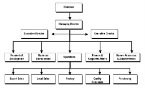 35 Right Nike Company Organizational Chart