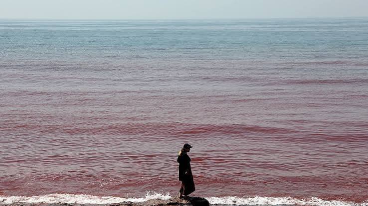 Wild viral video shows blood-red scenes covering island after rainstorm