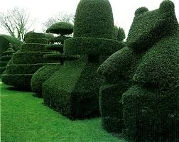 15 Ways to Trim a Hedge in Your Yard