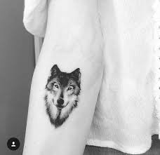 Really Like This Spot Never Thought Of It Before Wolf Tattoos For Women Small Wolf Tattoo Wolf Tattoos