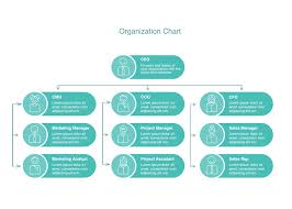 General Org Chart Template Cacoo