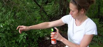 Top rated termite & pest control services in phoenix. The Right Way To Use Bug Spray