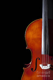 Maybe you would like to learn more about one of these? Cello Posters Fine Art America