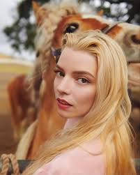 Mule Appearance and Breed Discussion