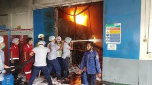 Kampung jaagpad saleh 0.1 km. 37 Listen Von Pt Indofood Kawasan Jarakosta Kawasan Food Estate Humbang Hasundutan Sumatera Utara Akan Memasuki Masa Panen