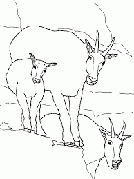 Maybe you would like to learn more about one of these? Pygmy Goats Coloring Page Coloring Home