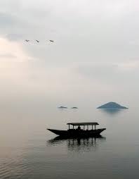 Image result for Beilschmiedia rwandensis