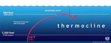 Tides may have a very high range in bays or estuaries. What Is A Thermocline