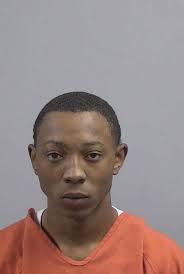 Arrest of: Malik Shepard Williams B-M Age: 19 Charges: OFA/FTA Larceny of  Motor Vehicle OFA/FTA Possession of Motor Vehicle Bond: $ 10,000.00 Secured  Address: 126 Astor Court Goldsboro, NC