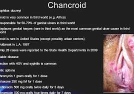 Chancroid Chancroid Cure