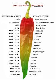 chili math and a good use for decibels math encounters blog