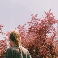 2020 erscheint sein debütalbum und wenn die bisherigen songveröffentlichungen einen kleinen vorgeschmack geben, wird das ein sehr launisches und teilweise auch wütendes werk über liebe. All Kinds Of Flowers Breakup Films