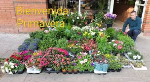 Floristería Cefe Moreno