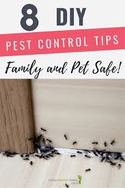 Save with 16 do it yourself pestcontrol products offers. Pest Control Apartment Do It Yourself Pest Control Tucson Pest Control 01332 340898 Pest Control Spray In 2020 Diy Pest Control Pest Control Pest Control Roaches