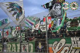 Tifo is het fenomeen van teamsupport in de sportwereld.oorspronkelijk is het een italiaans woord. Scr Altach Sk Rapid Wien 04 11 2018 Ultras Avanti The Way Of Life
