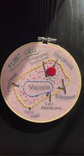 Materials to make animal cell model. Abbey V S On Twitter How Cool Is Ty A Science Student S Emma Kee S Plant Cell Model Students Were Asked To Make A Plant Or Animal Cell Model Using Any Materials They