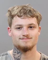 Public Intoxication Charges for Trinity Lashay Ford in Knox County,  Tennessee