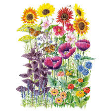 Pollinator Garden Flower Mix Seeds Pollinator Garden Pollinating Flowers Flower Garden