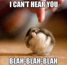 Me When I Don T Want To Hear That I M Wrong Funny Animal Jokes Funny Hamsters Cute Hamsters