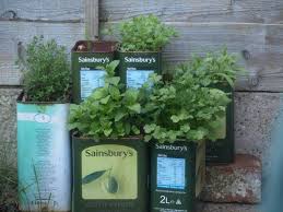 Olive Oil Tins For A Herb Garden Garden Inspiration Garden Outdoor Gardens