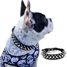 犬 首輪 スタッズ 革製 レザー 引っ張る防止 ベーシック首輪 小型犬 中型犬 大型犬 しつけ お散歩トレーニングに便利 ソフト 5穴 調節可能  XXS~XXL黒 ブラック